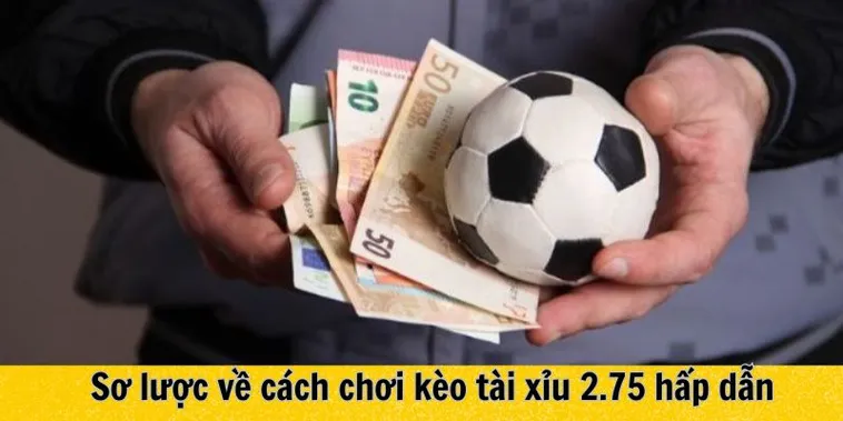 Giải Mã Kèo 2.75 Trong Bóng Đá Và Những Bí Quyết Soi Kèo Tài Xỉu Đỉnh Cao Cho Người Chơi