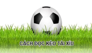 Kèo Tài Xỉu Trong Bóng Đá Và Phương Pháp Phân Tích Tổng Số Bàn Thắng