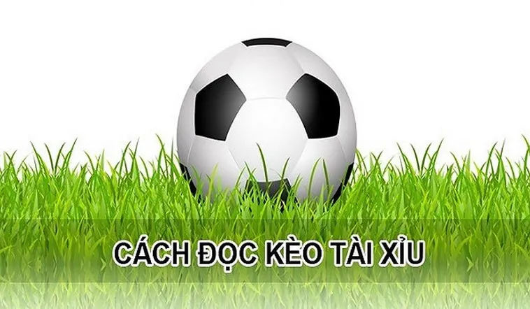 Kèo Tài Xỉu Trong Bóng Đá Và Phương Pháp Phân Tích Tổng Số Bàn Thắng