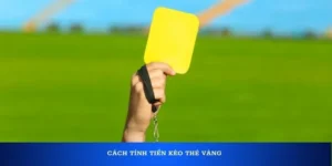 Kèo Thẻ Vàng Và Những Bí Quyết Phân Tích Chỉ Số Kỷ Luật Hiệu Quả Nhất