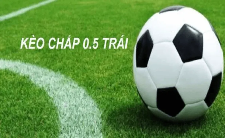 Cách Đọc Kèo Chấp 0.5 Và Chiến Thuật Chinh Phục Tỷ Lệ Chấp Nửa Trái Trong Bóng Đá